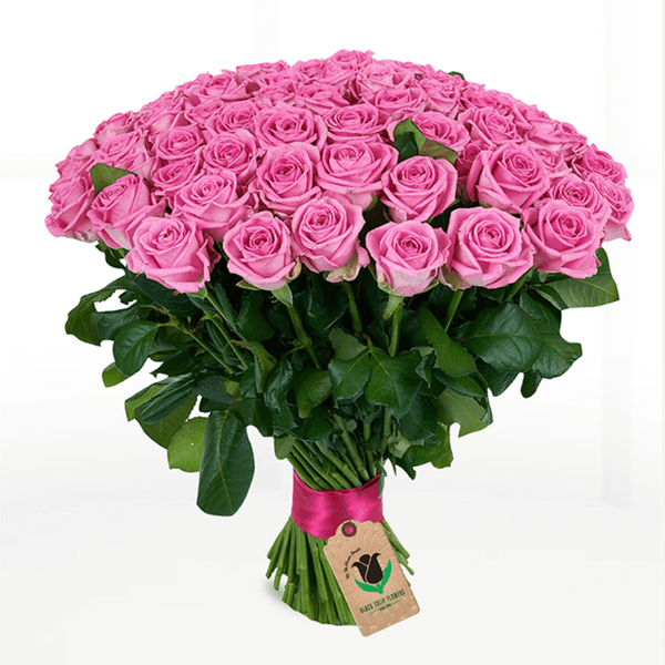 75 pink roses bouquet in a full rounded hand-tied style, finished with a pink ribbon.