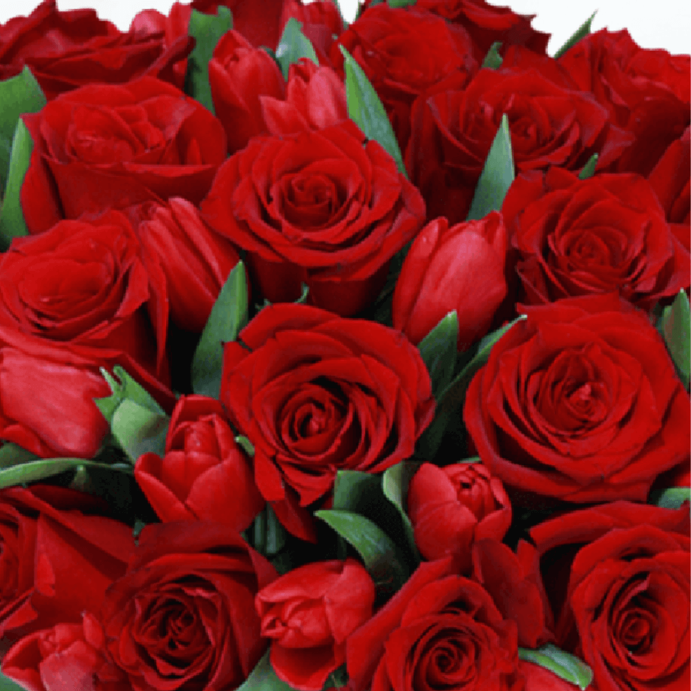 Red roses and tulips arranged in a transparent cylindrical glass vase
