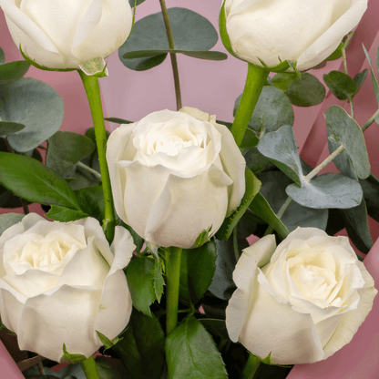 5 white roses bouquet with eucalyptus in Korean-style wrapping