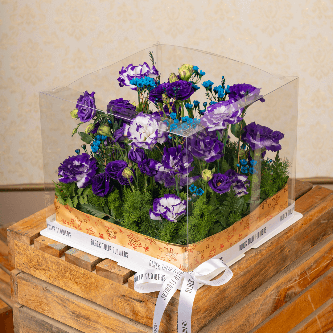 Purple and blue Eustoma with wax flowers and green leaves in a flower box