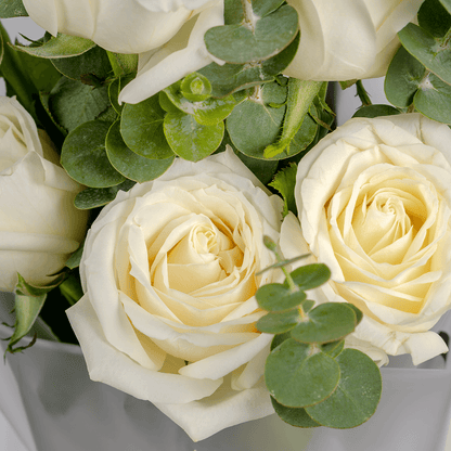 6 white roses bouquet with eucalyptus in Korean-style wrapping