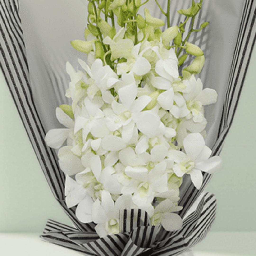 White orchid bouquet wrapped in black-and-white striped non-woven paper