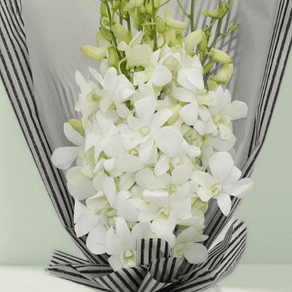 White orchid bouquet wrapped in black-and-white striped non-woven paper