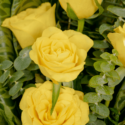 5 yellow roses bouquet with eucalyptus in green wrapping