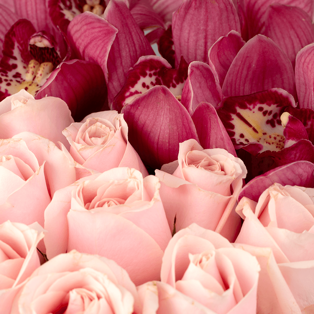 Pink Roses and Cymbidium orchids arranged in a round pink flower box.