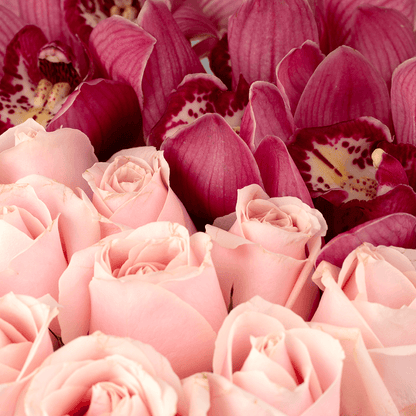 Pink Roses and Cymbidium orchids arranged in a round pink flower box.