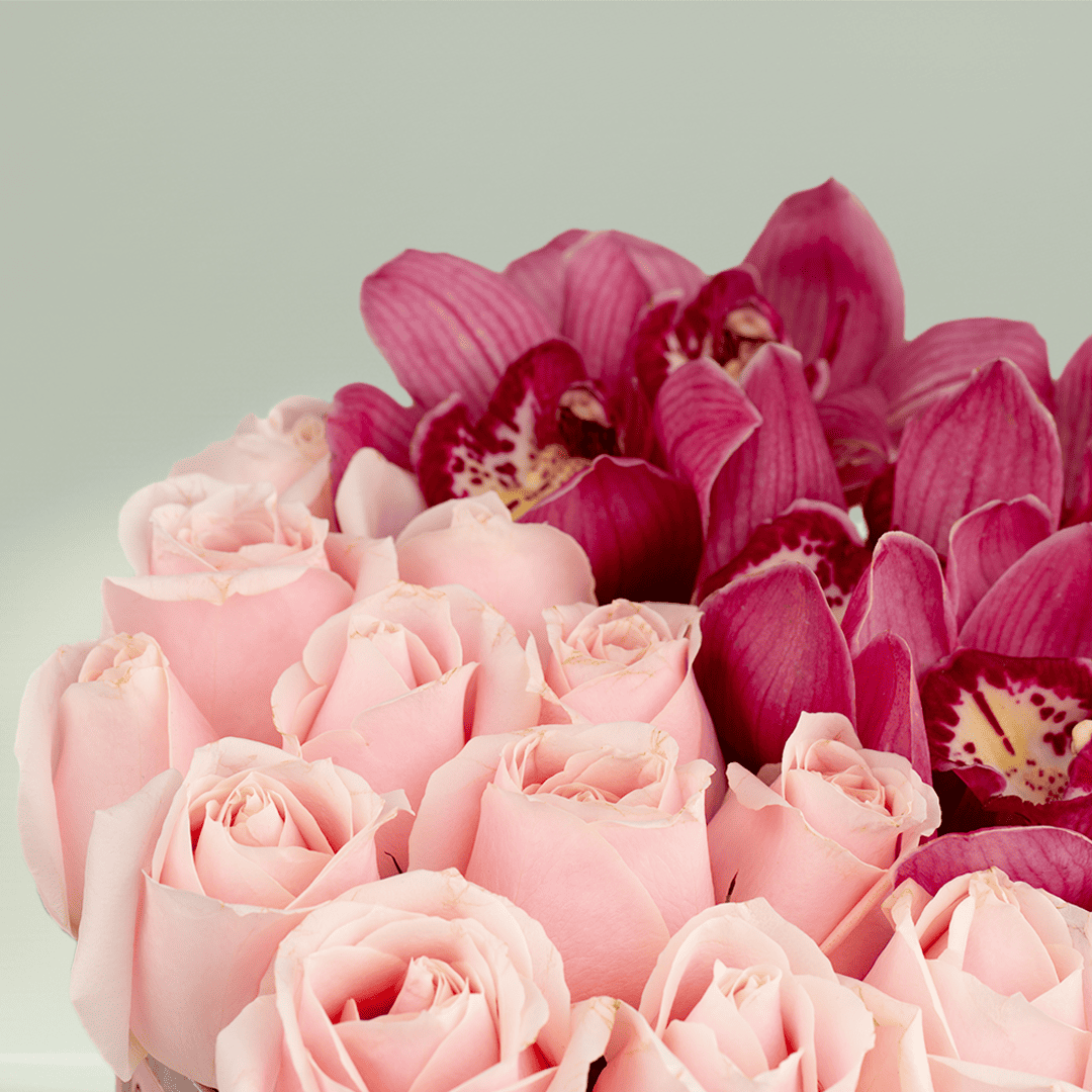Pink Roses and Cymbidium orchids arranged in a round pink flower box.