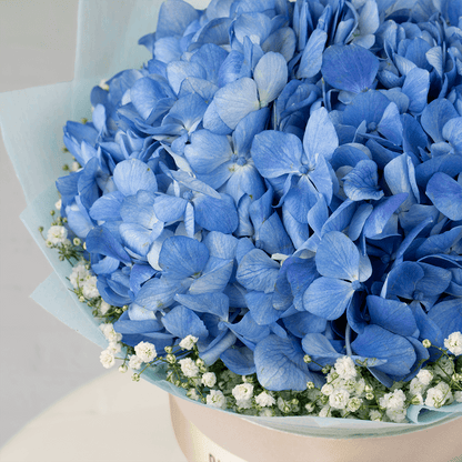 Blue Hydrangea and white Gypsophila arranged in an elegant flower box.