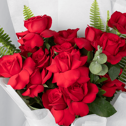 Bouquet of 20 red Roses with Eucalyptus and green Ferns wrapped in white non-woven paper.
