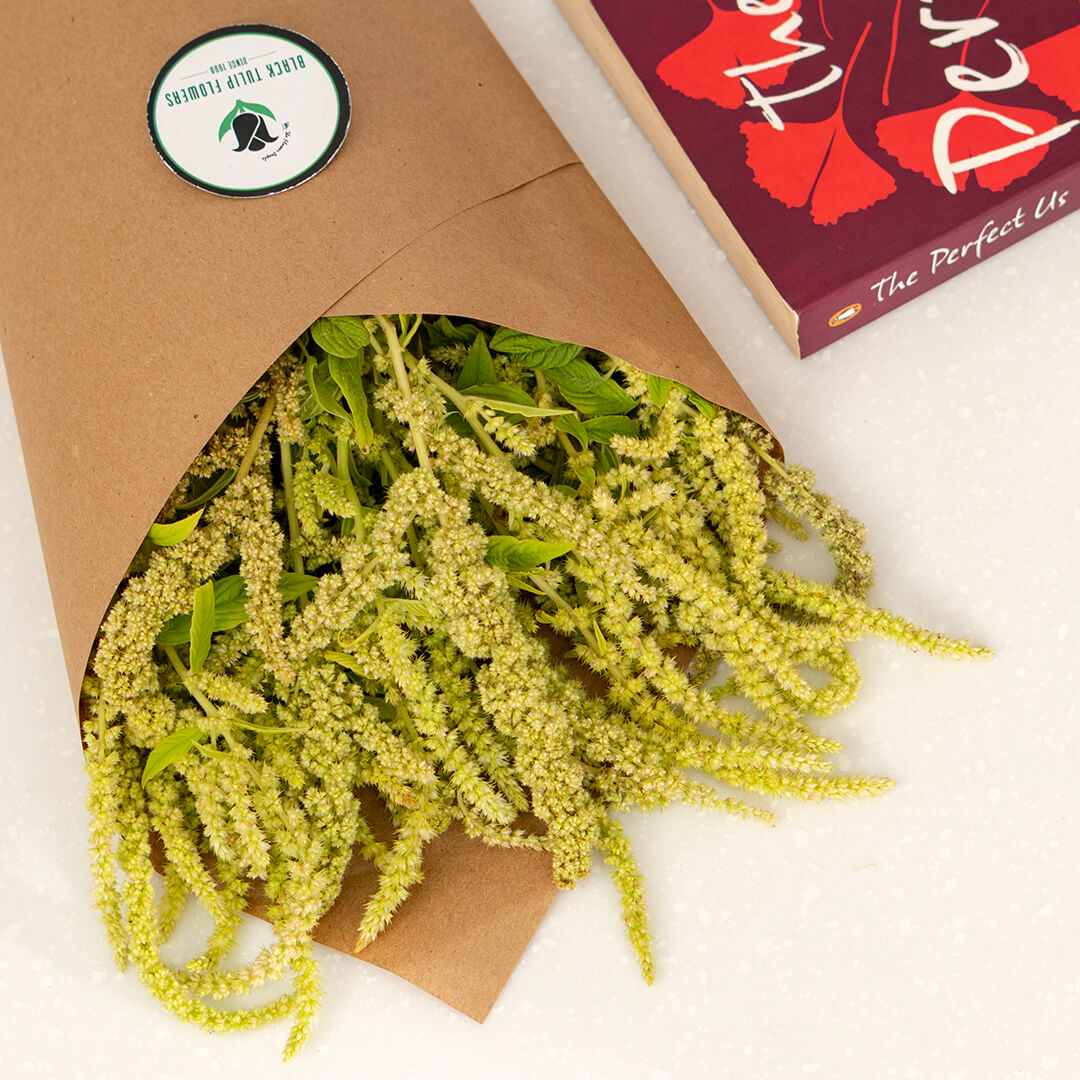Hanging Amaranthus cut flowers in red colour wrapped in brown paper