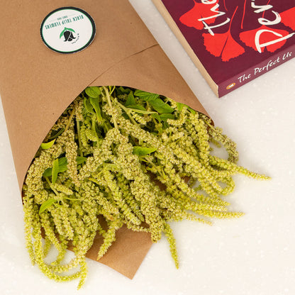 Hanging Amaranthus cut flowers in red colour wrapped in brown paper