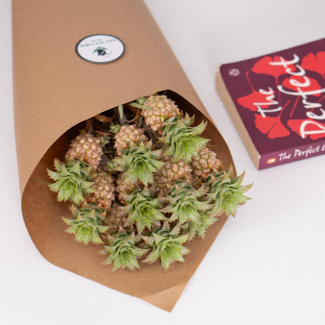 Fresh Ananas cut flowers wrapped in a brown sheet