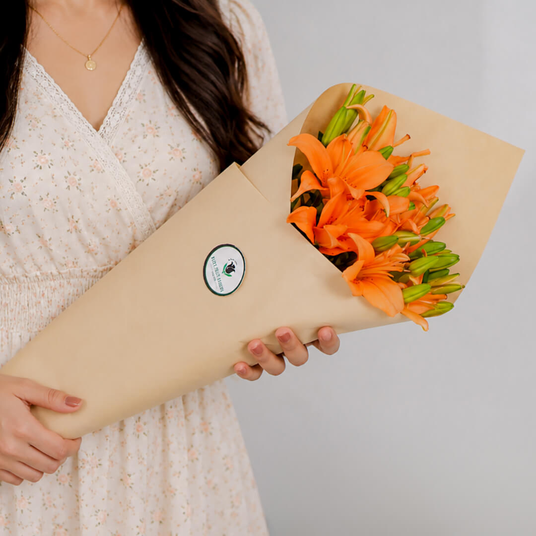 Asiatic lily flowers with broad petals and large open blooms arranged as fresh cut stems