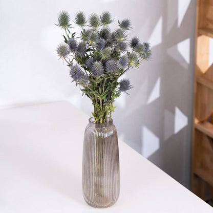 Blue Eryngium Cut Flowers by stem