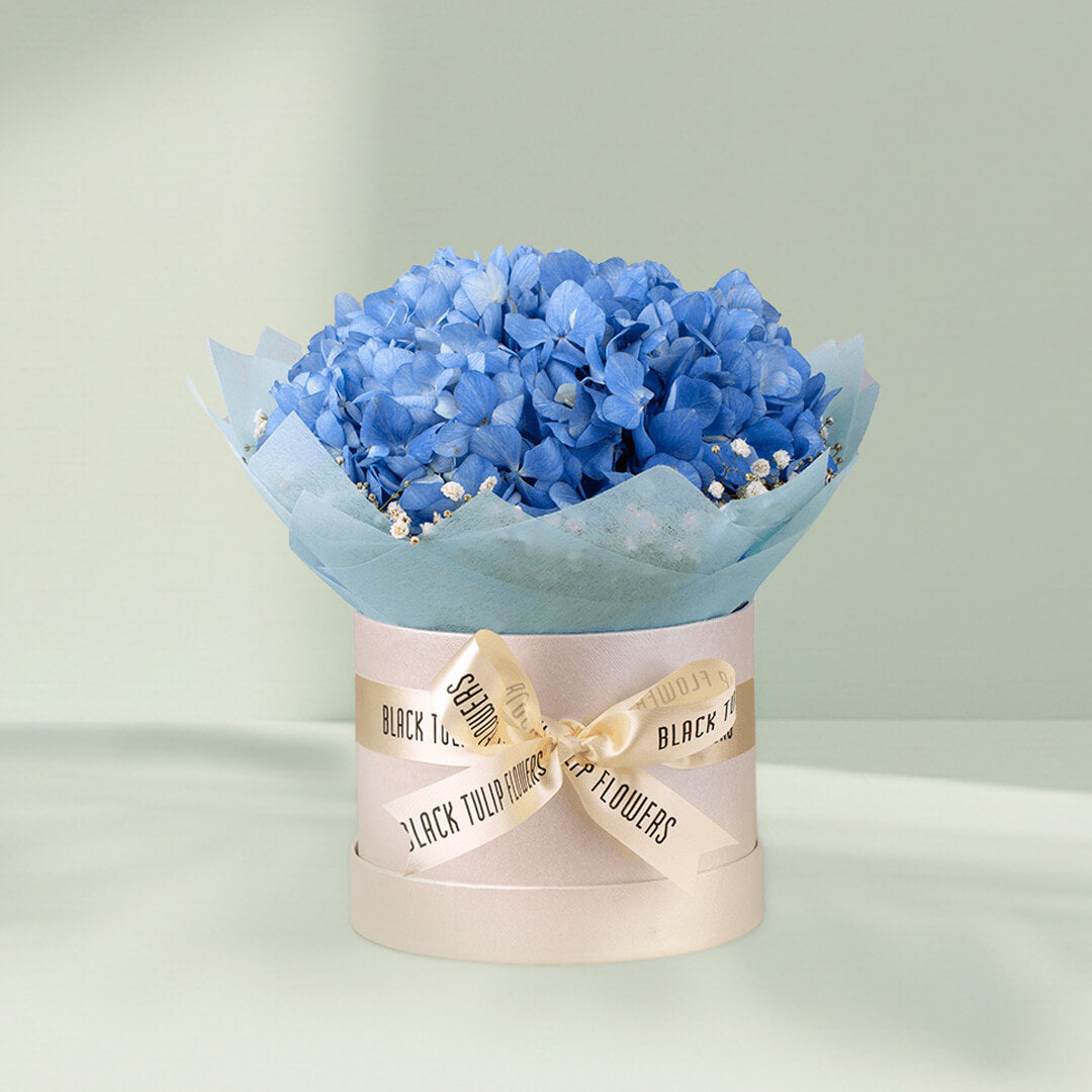 Blue Hydrangea and white Gypsophila flower box arrangement for elegant special occasion gifting