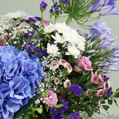 Blue Lagoon Hydrangea with lush blue blooms and green foliage
