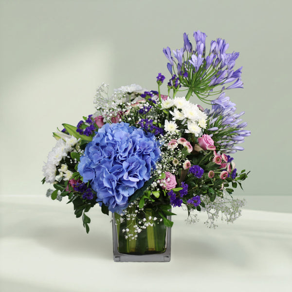 Blue Lagoon Hydrangea with lush blue blooms and green foliage