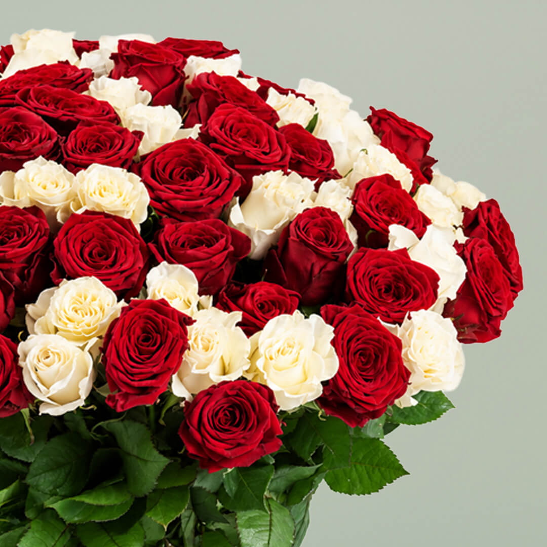 Bunch of red and white roses beautifully arranged for romantic gifting and special occasions