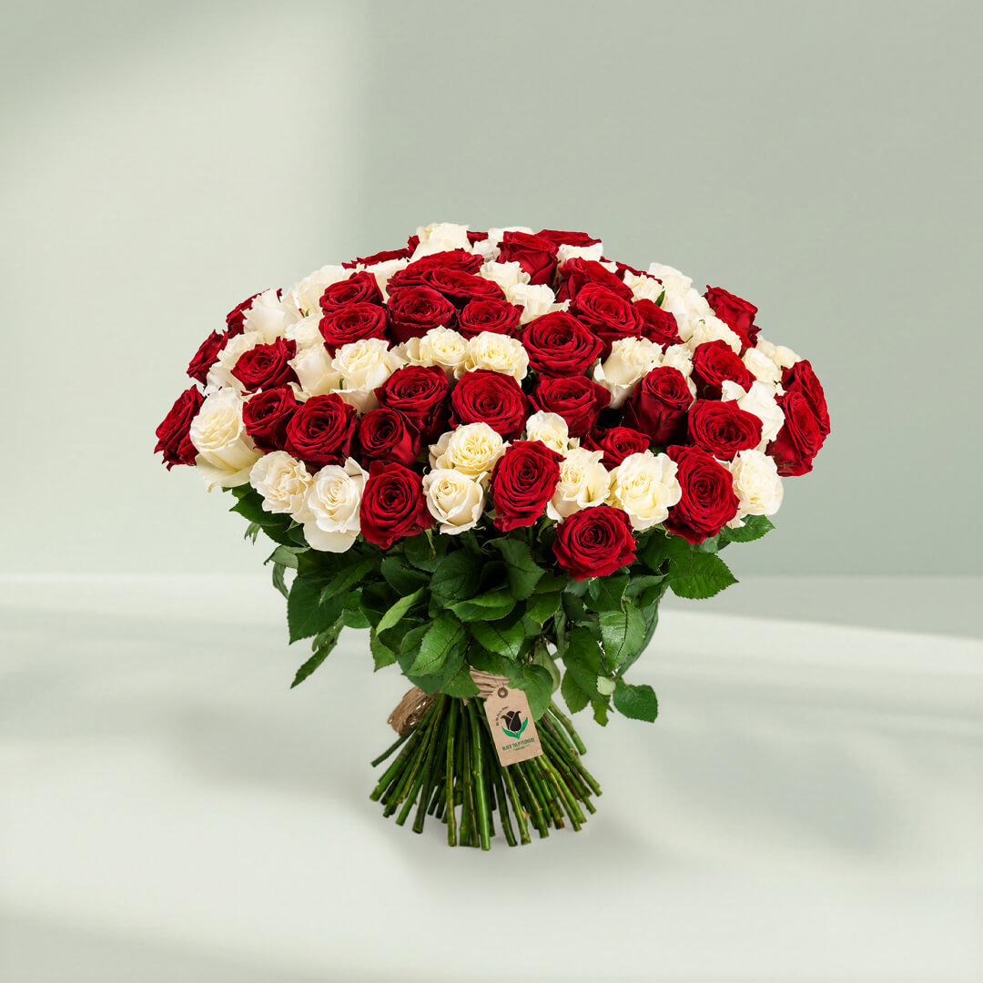 Bunch of red and white roses beautifully arranged for romantic gifting and special occasions
