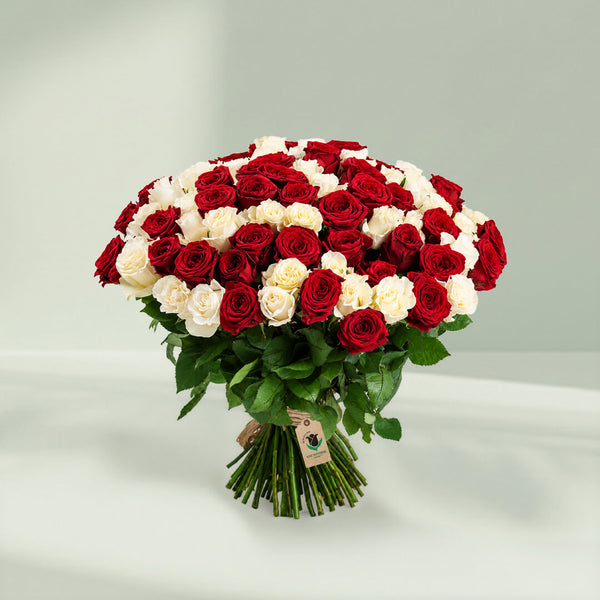 Bunch of red and white roses beautifully arranged for romantic gifting and special occasions