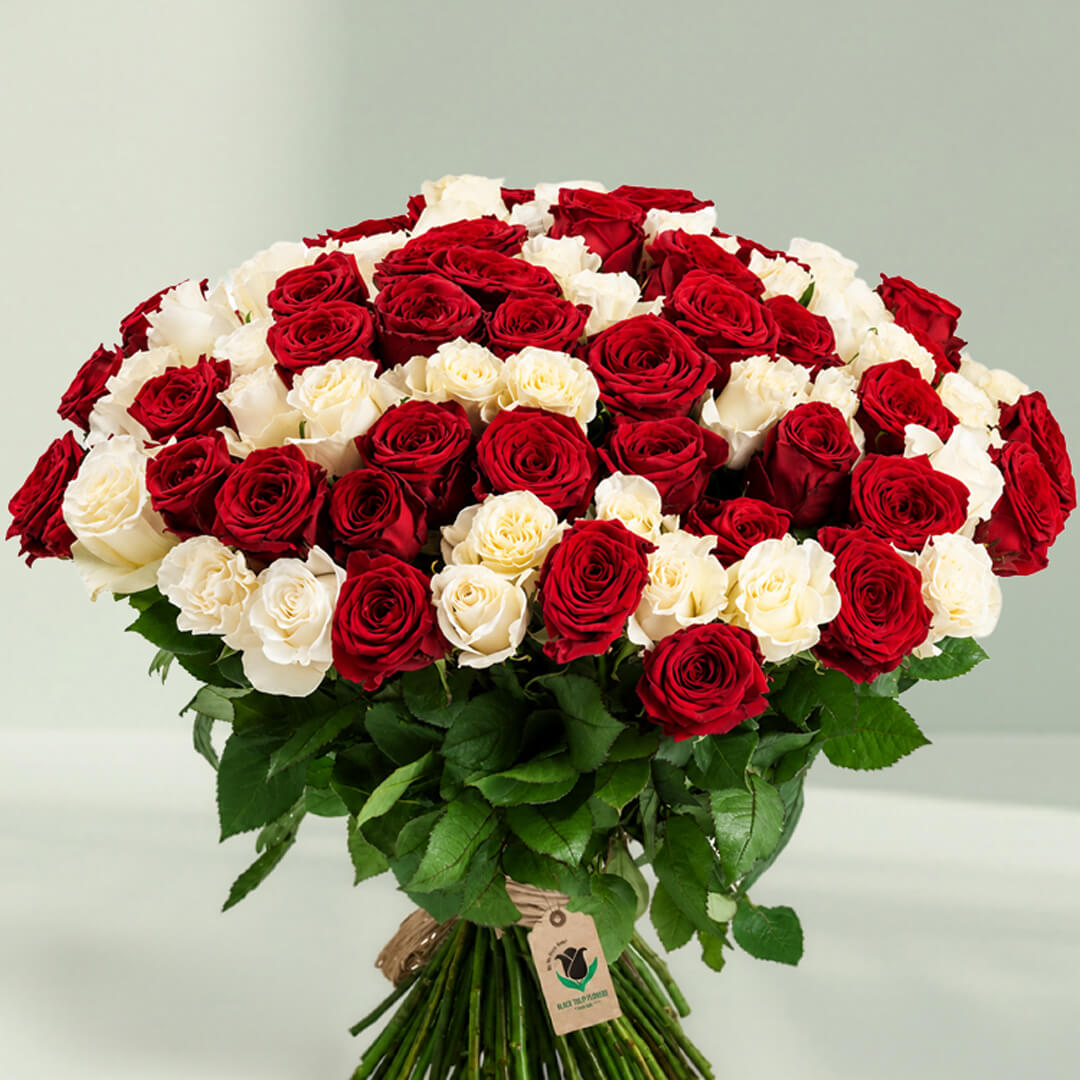 Bunch of red and white roses beautifully arranged for romantic gifting and special occasions