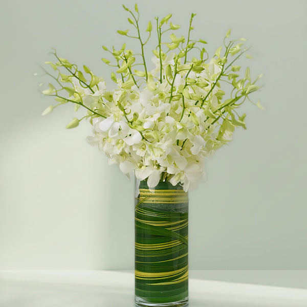 20 white orchids in a tall transparent glass cylinder vase decorated with green leaves.
