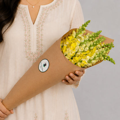 Snapdragon cut blooms presented in brown paper wrapping