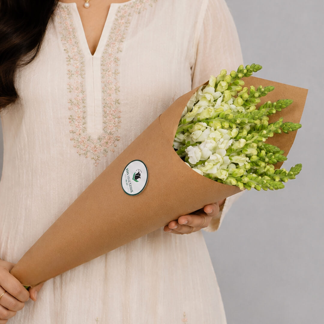 Snapdragon cut blooms presented in brown paper wrapping