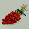 Classic Red Roses