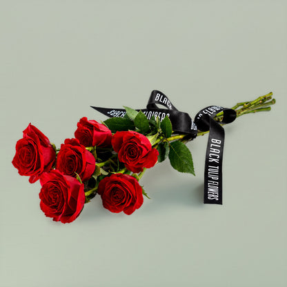 Classic Red Roses