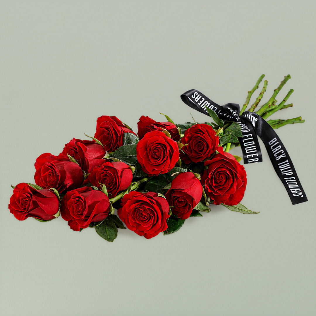 Classic Red Roses