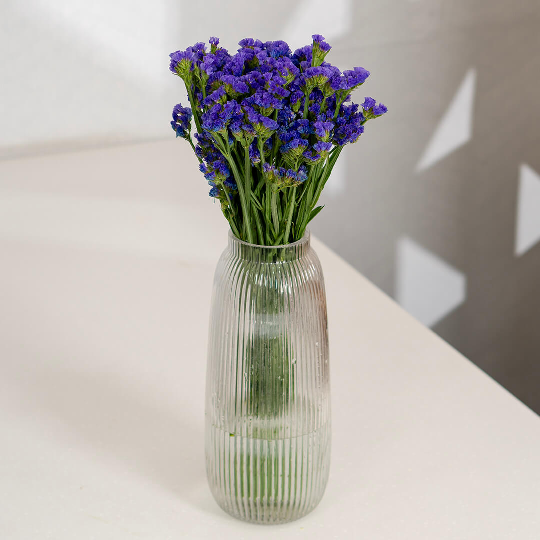Colorful Statice Cut Flowers