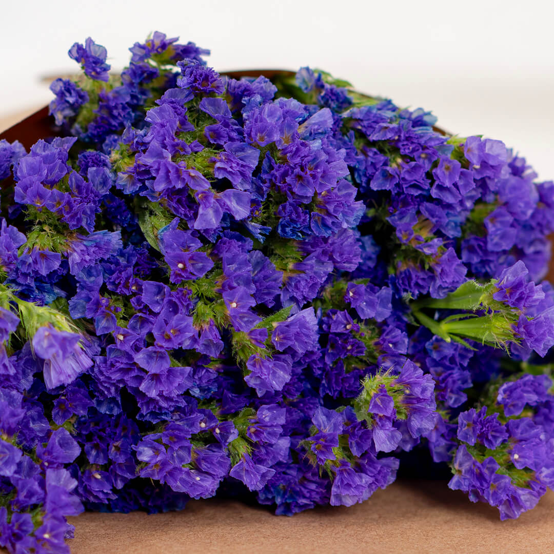 Colorful Statice Cut Flowers