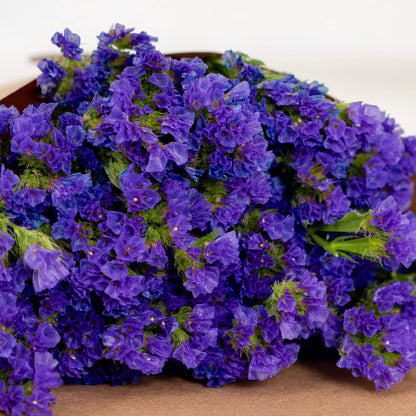 Colorful Statice Cut Flowers