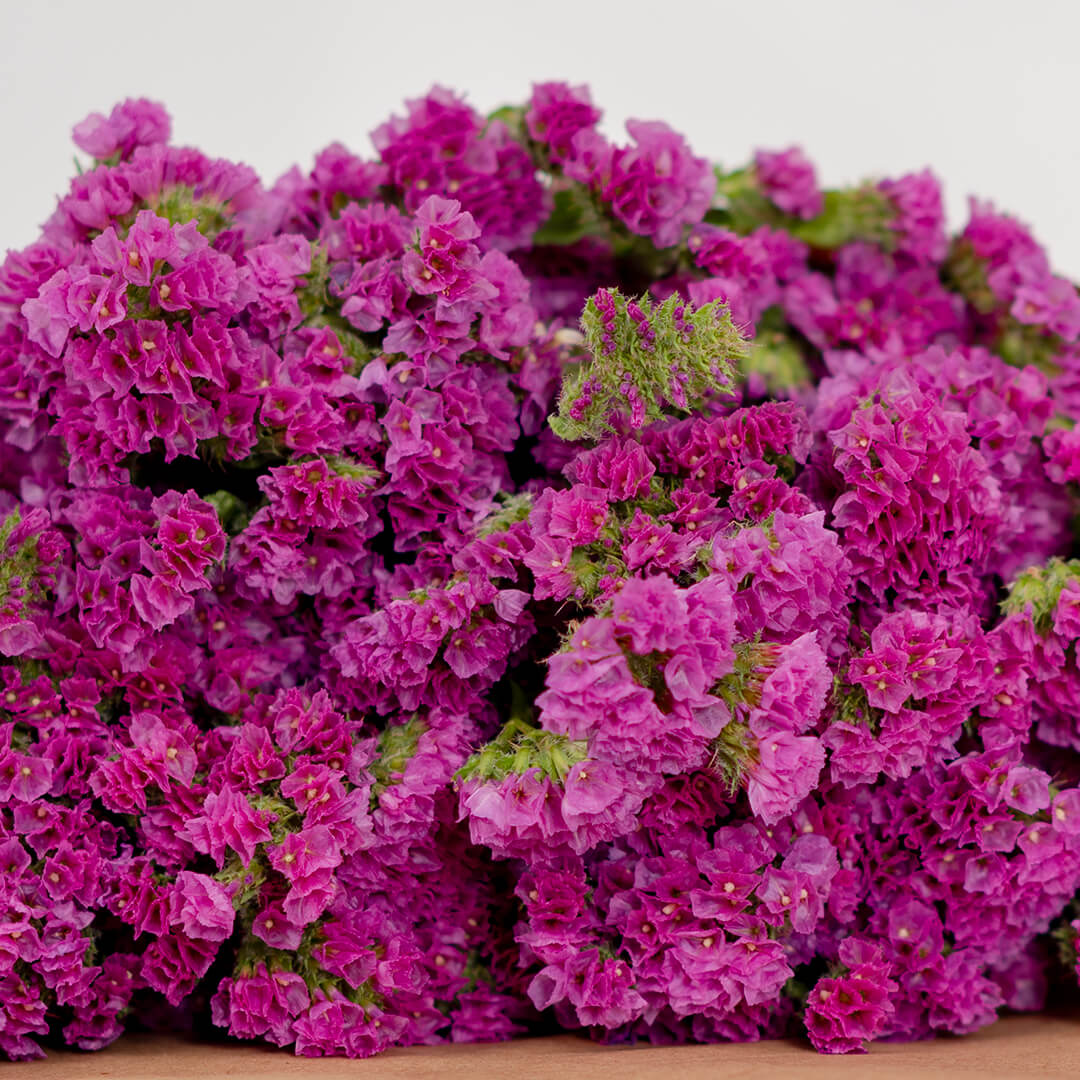 Statice blooms carefully arranged in brown paper wrapping