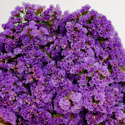 Statice blooms carefully arranged in brown paper wrapping