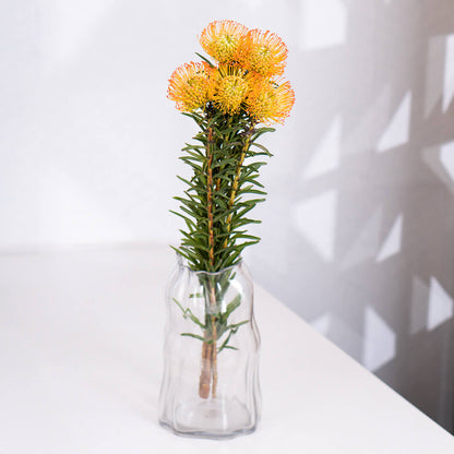Cordifolium flowers featuring small blooms on green stems wrapped neatly