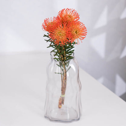 Cordifolium flowers featuring small blooms on green stems wrapped neatly