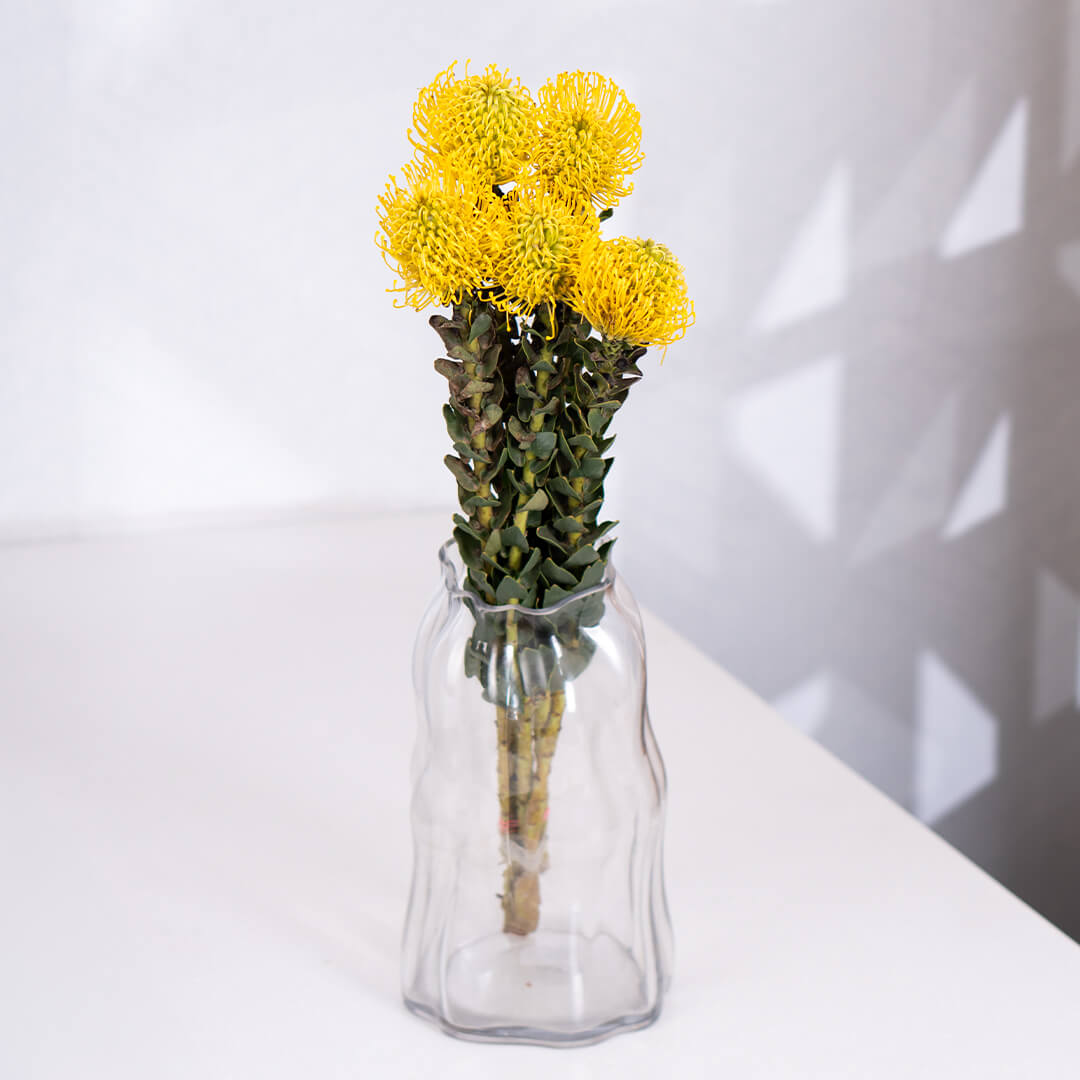 Cordifolium flowers featuring small blooms on green stems wrapped neatly