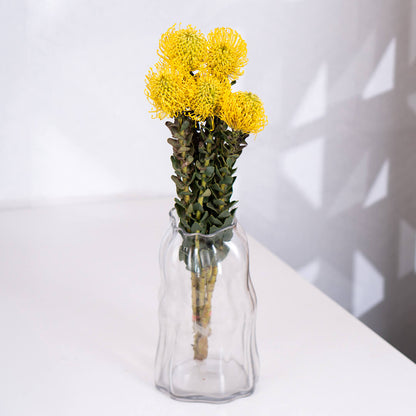 Cordifolium flowers featuring small blooms on green stems wrapped neatly