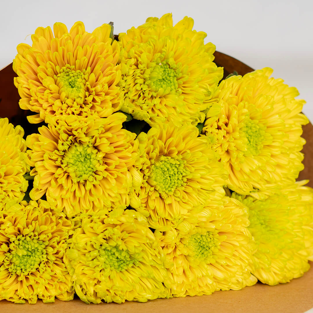 Fresh Disbud flowers neatly arranged and wrapped in brown paper