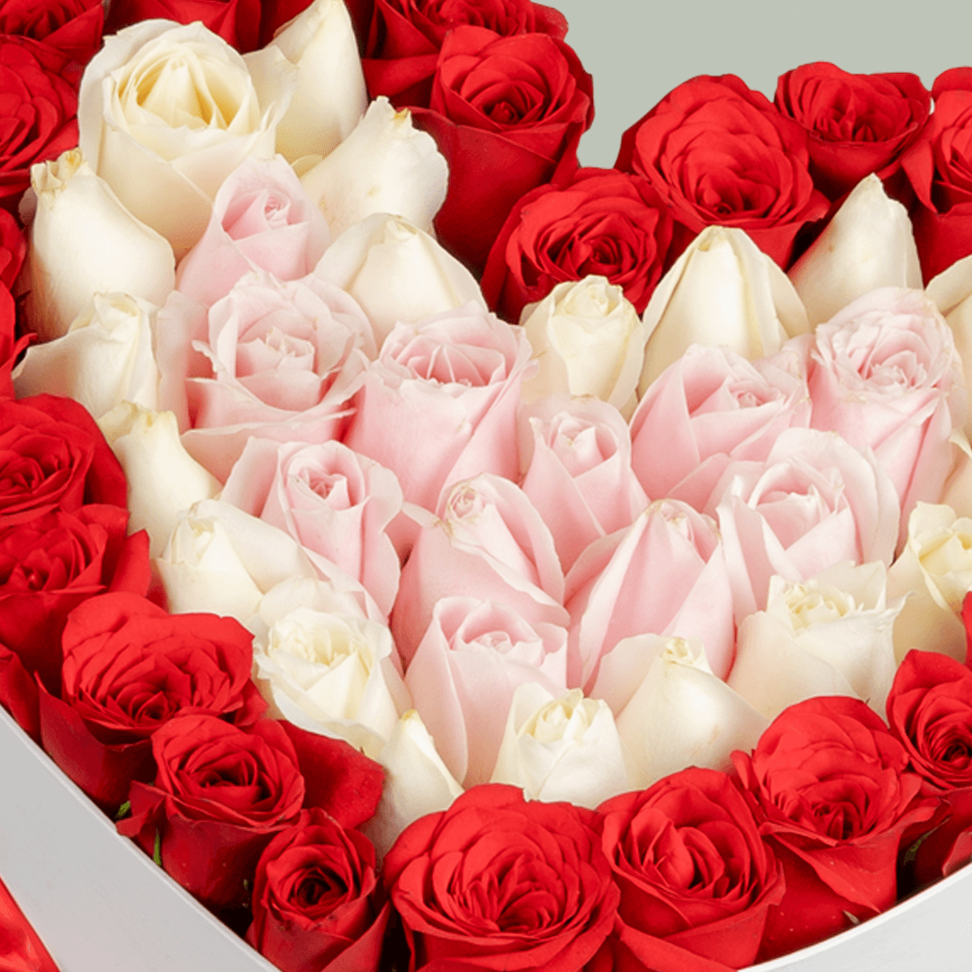 Mixed Roses Heart Box arranged with red, pink and white mixed roses