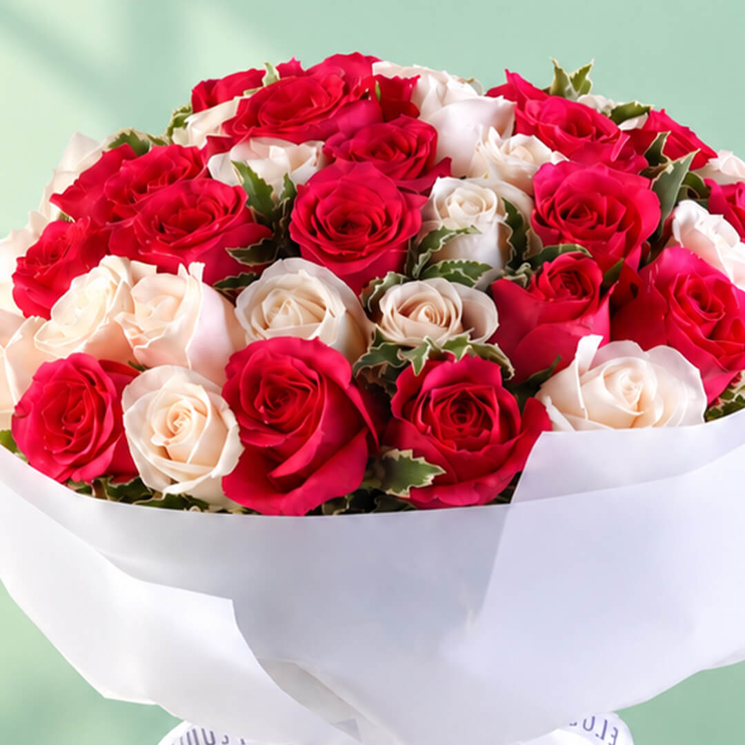 35 red and white roses in a neatly wrapped floral bouquet