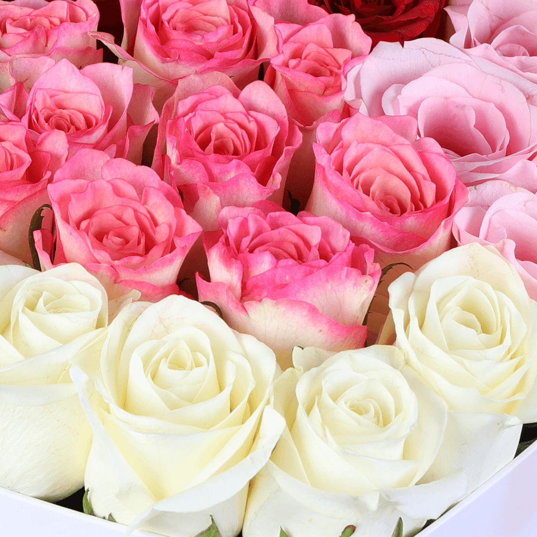 Cupid’s Mixed Rose Heart Box arranged with red, pink and white roses