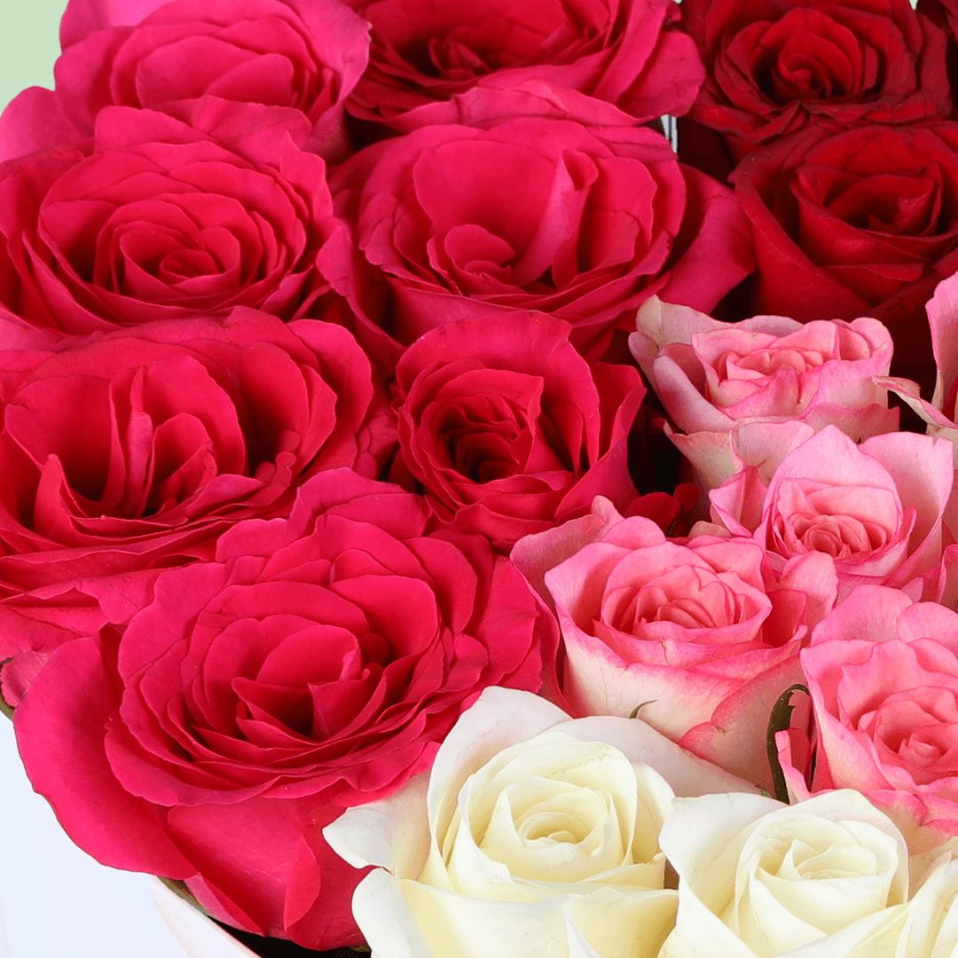 Cupid’s Mixed Rose Heart Box arranged with red, pink and white roses