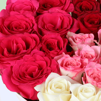 Cupid’s Mixed Rose Heart Box arranged with red, pink and white roses