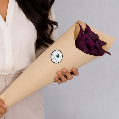 Calla Lily Cut Flowers by stem