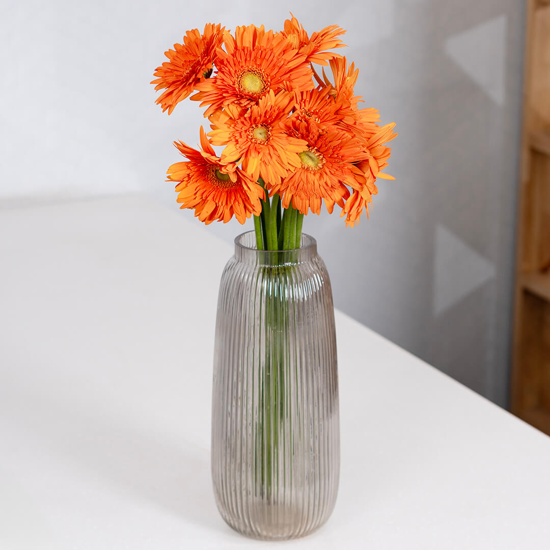 Gerbera cut flowers with open blooms in multiple bright colours