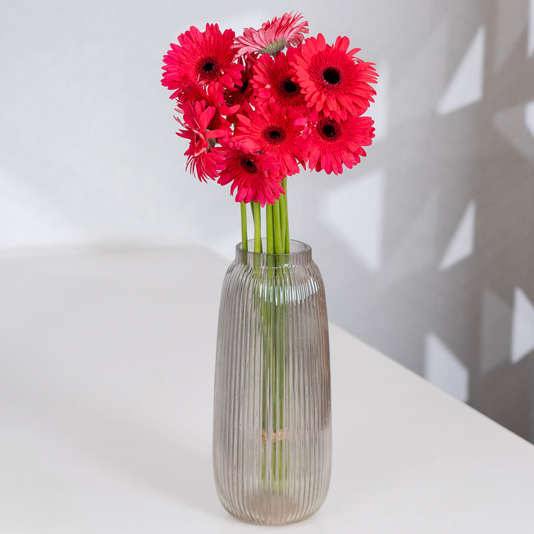 Gerbera cut flowers with open blooms in multiple bright colours