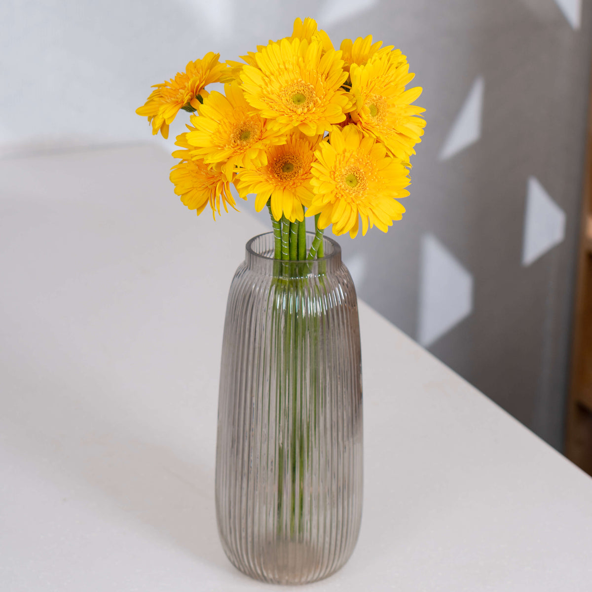 Gerbera cut flowers with open blooms in multiple bright colours